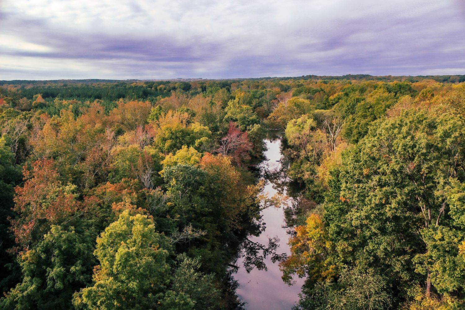 Aerial view of a winding river through colorful autumn forest with golden foliage under cloudy skies.
