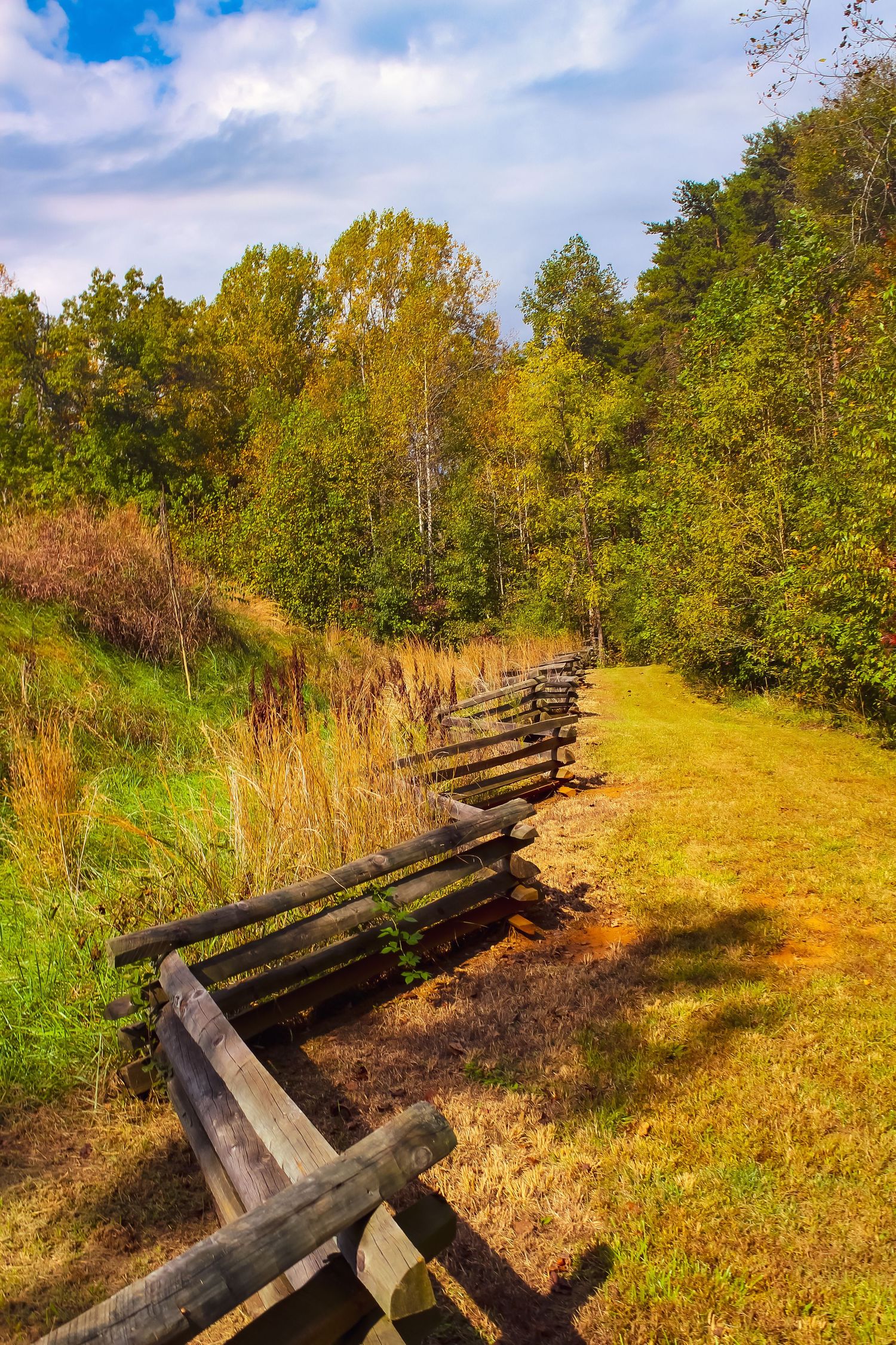 Rustic split-rail fence winding through autumn meadow with trees in background.