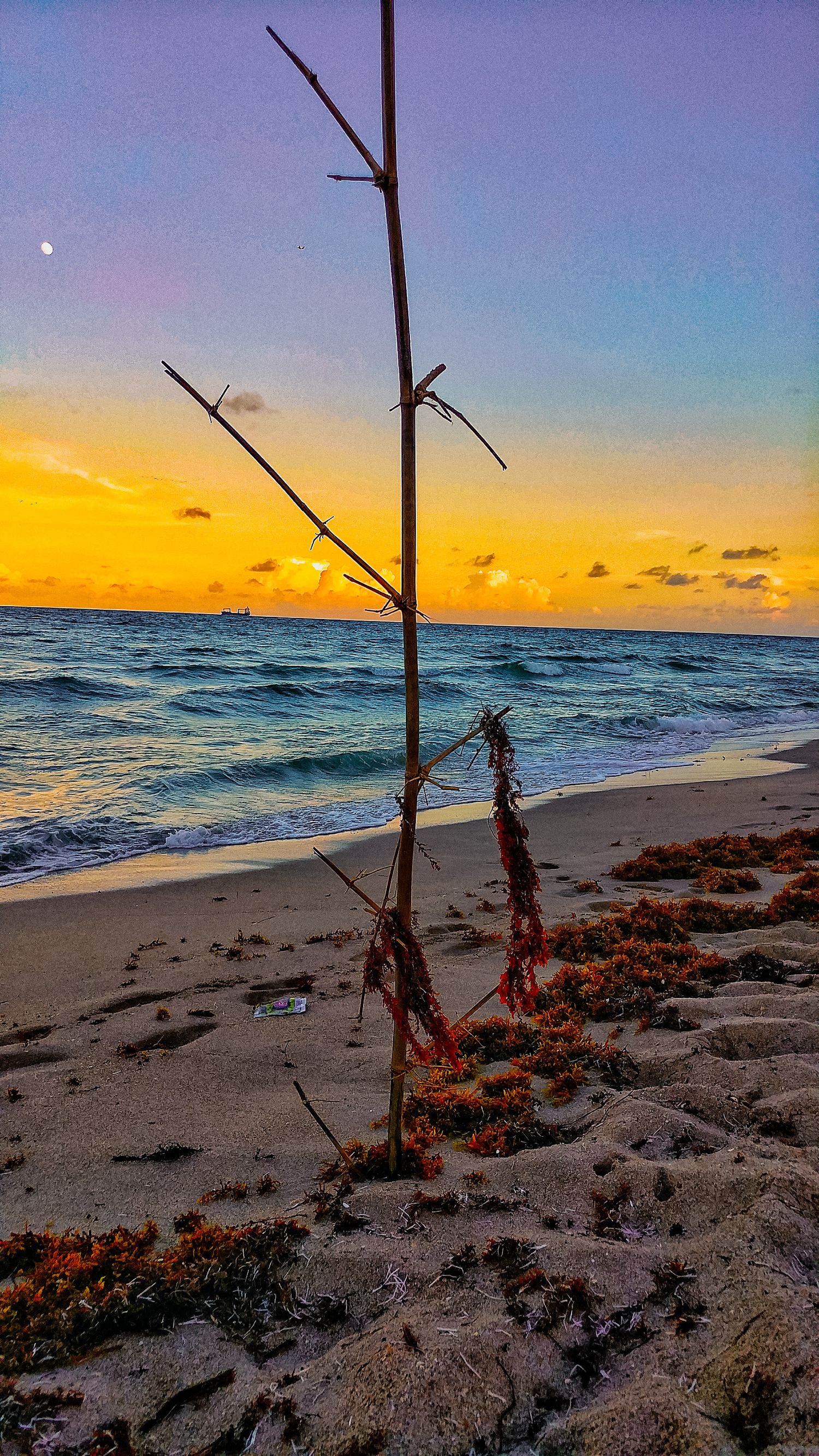 Bare driftwood branch silhouetted against golden sunset over ocean waves on sandy beach.