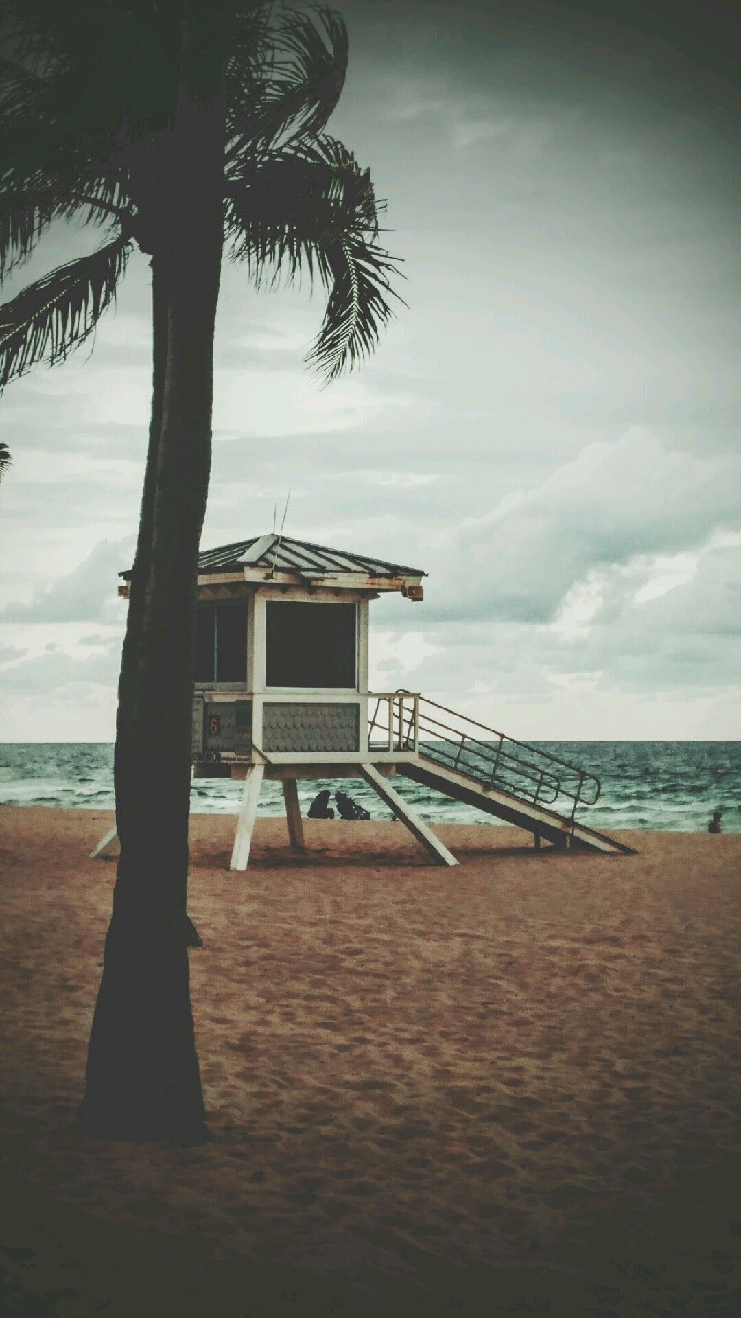 Vintage-style photo of lifeguard tower and palm tree on beach with moody stormy sky.