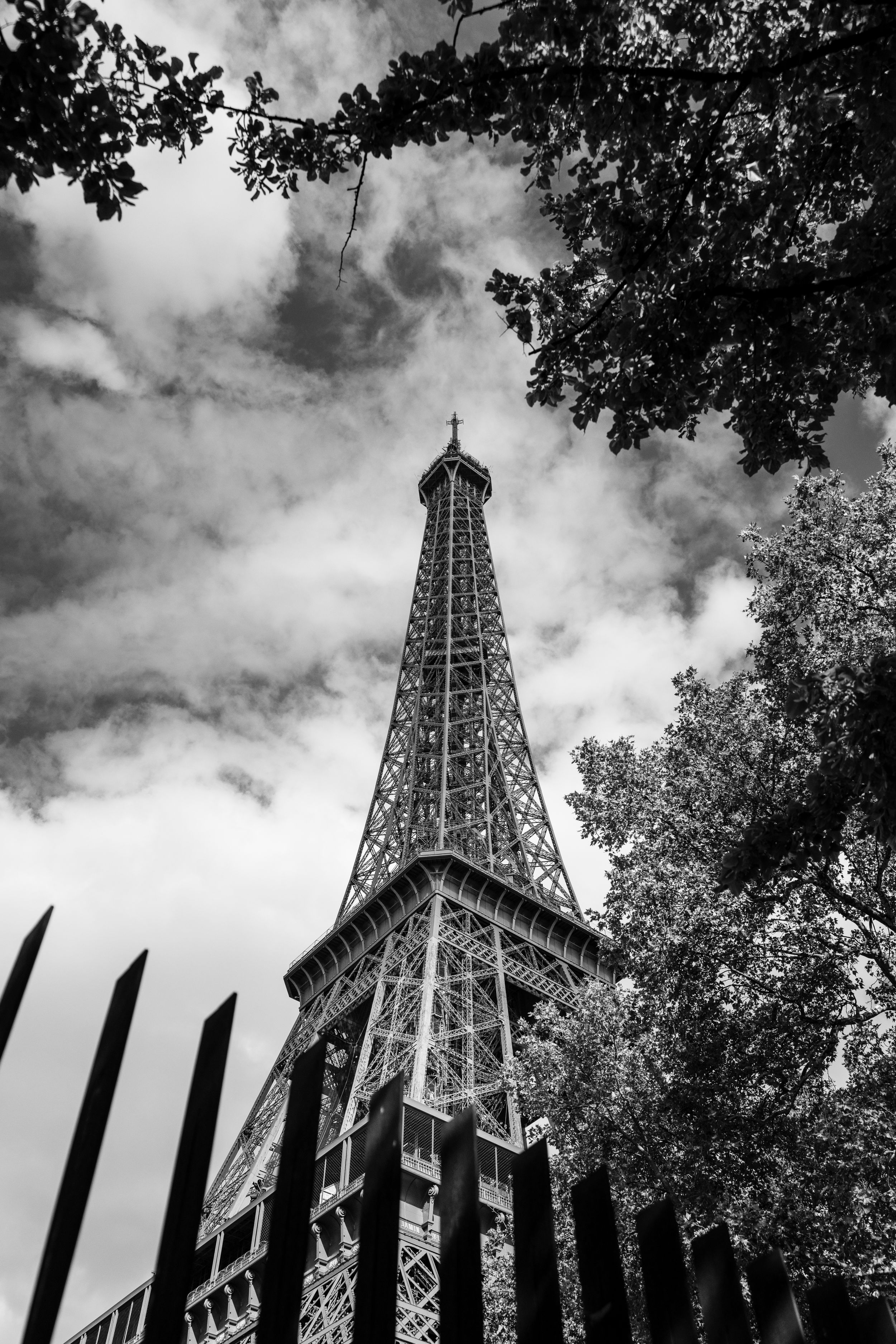 Black and white view of the Eiffel Tower framed by tree branches and iron fence.