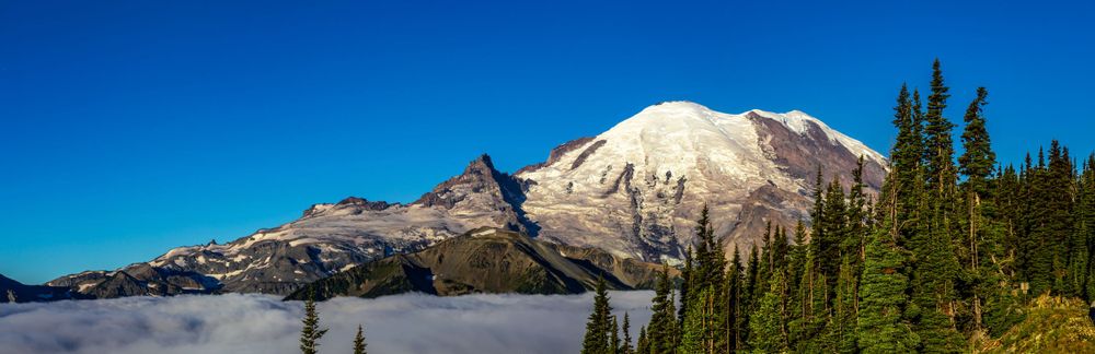 Mount Rainier stands majestically above low-lying clouds with evergreen trees in the foreground.