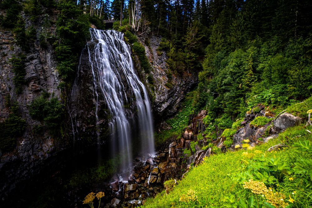 Majestic waterfall cascading down rocky cliff surrounded by lush green forest vegetation.