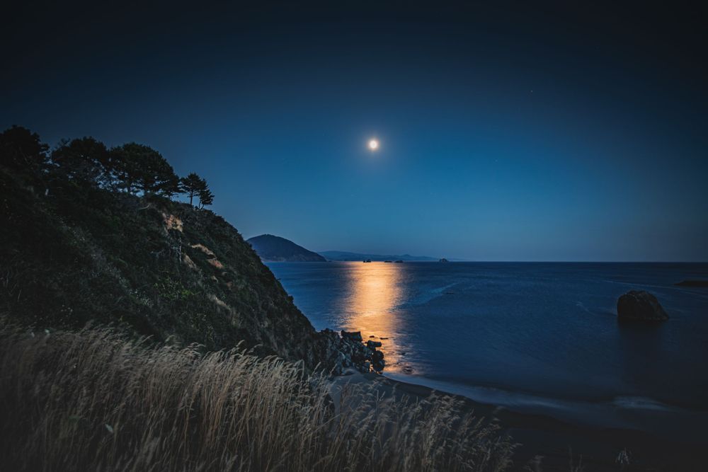 Moonlit coastal landscape with tall grass and cliffs reflecting on calm ocean waters at night.
