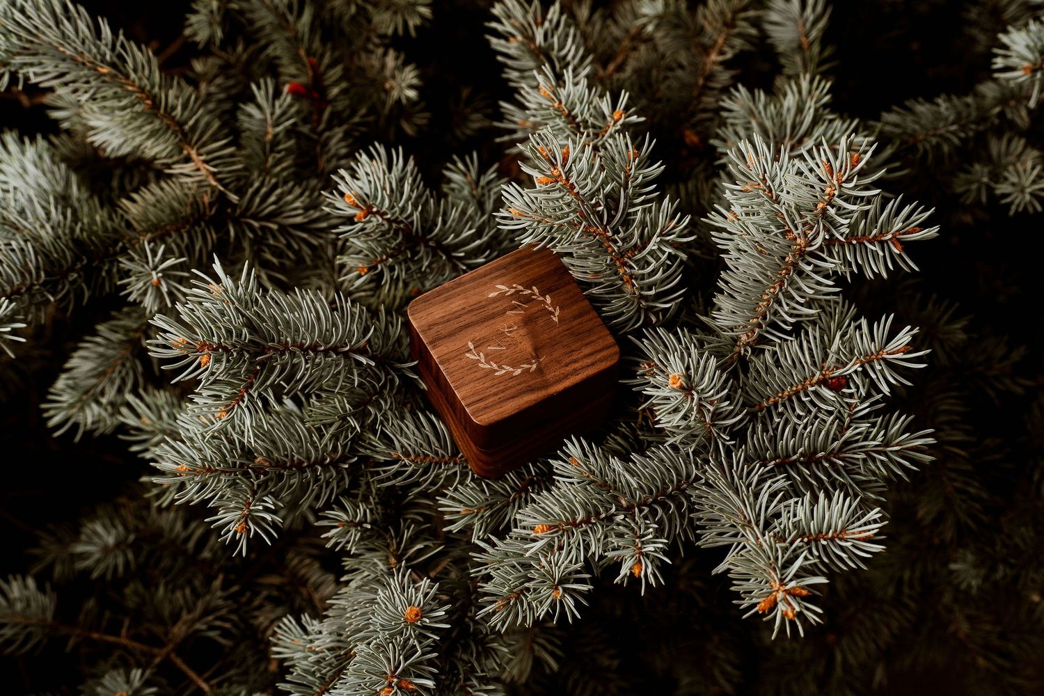 A wooden ring box nestled among evergreen pine branches creating a rustic wedding detail.