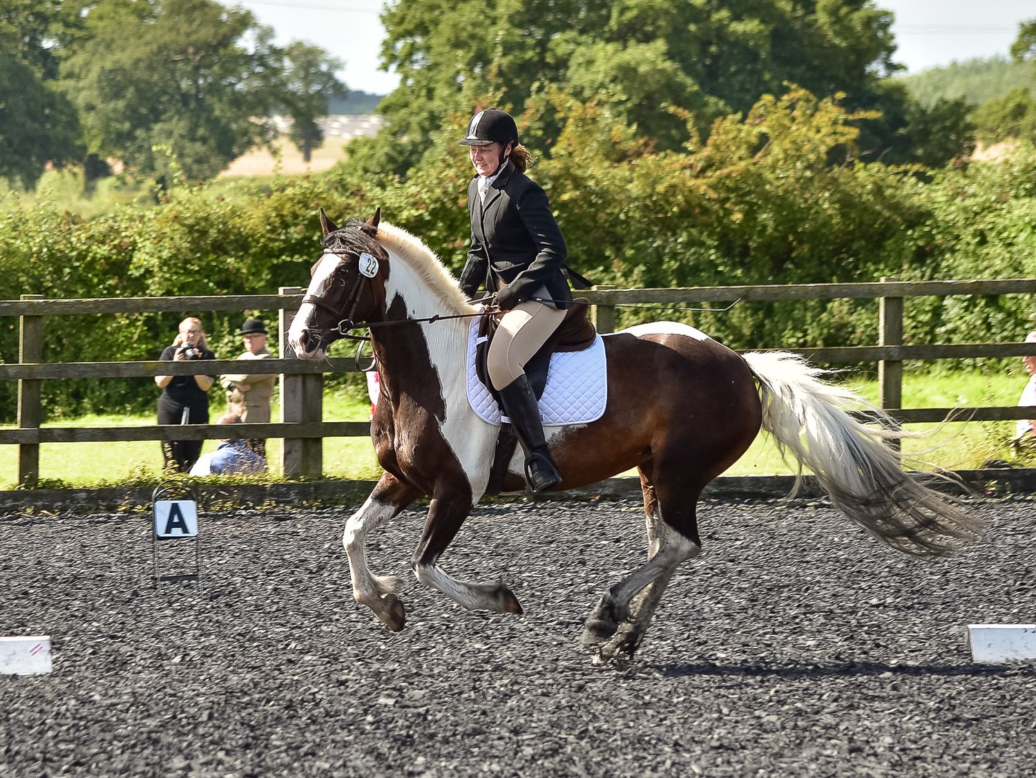 Equine Dressage