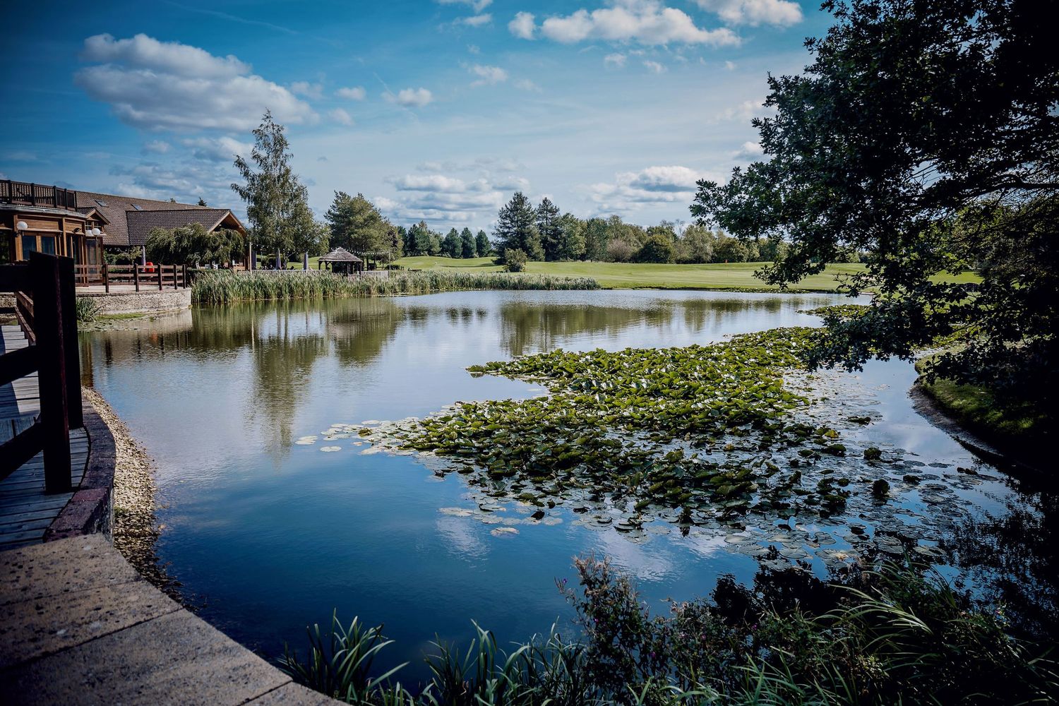 Serene lake view with lily pads and reflective water surrounded by trees.