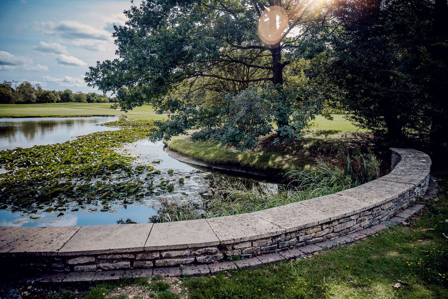 Curved stone wall along pond edge with trees and water lilies in natural setting.