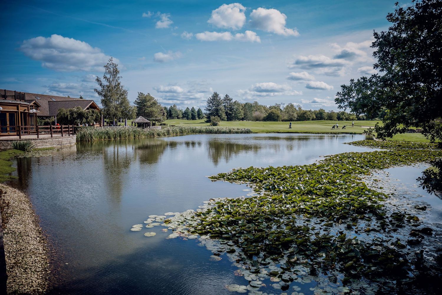 Scenic lake view with water lilies and buildings visible along the shoreline.