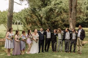 Bridal party arranged in traditional formation for outdoor wedding photography session.