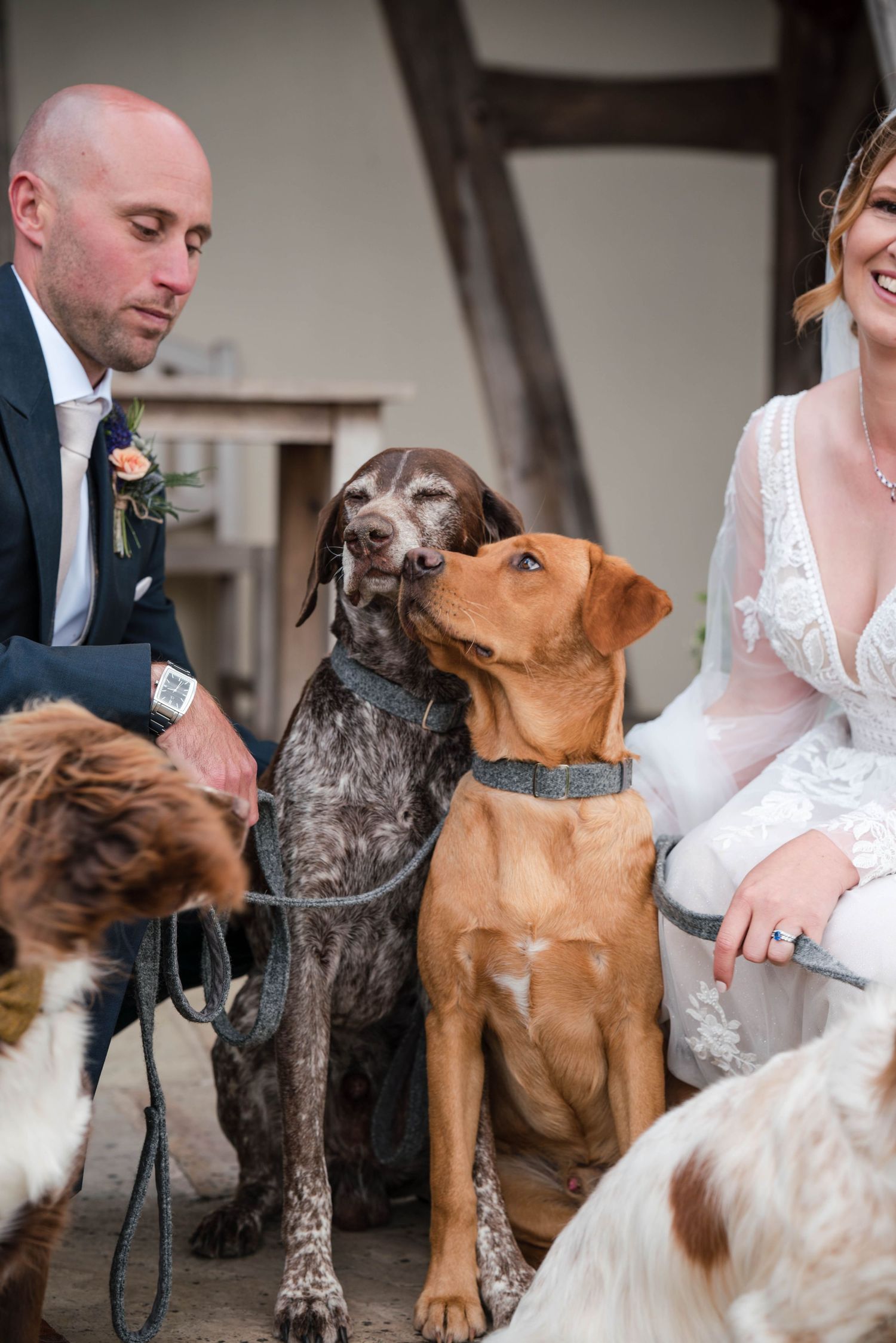Zara Davis Photography Dogs at Weddings Kingscote Barn Tetbury Cotswolds Gloucestershire Stroud