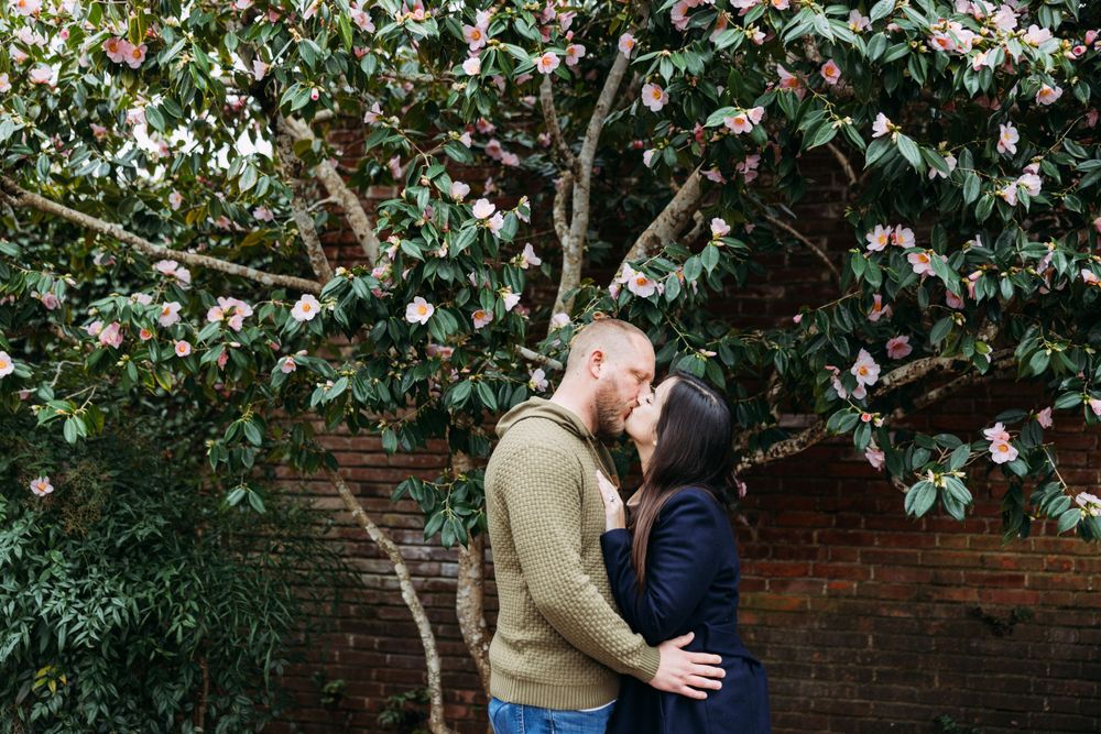 Winter engagement pictures at Filoli