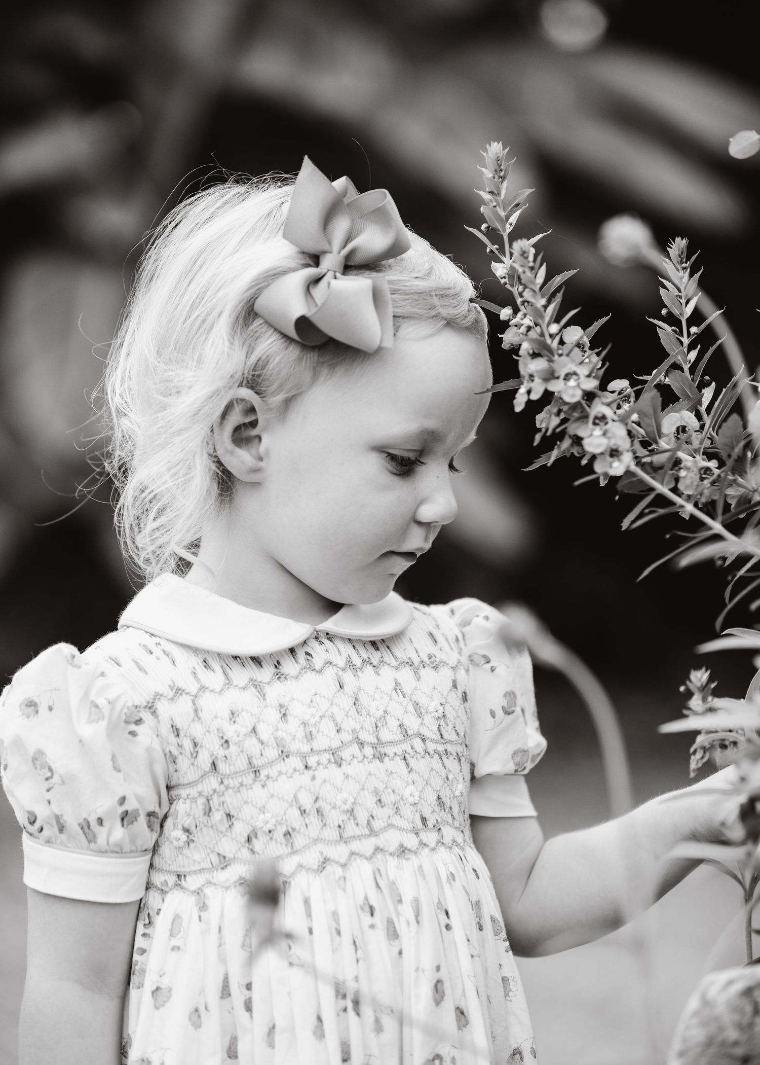 Fall mini family session by Emily Butz of M.Photo in Richmond Virginia