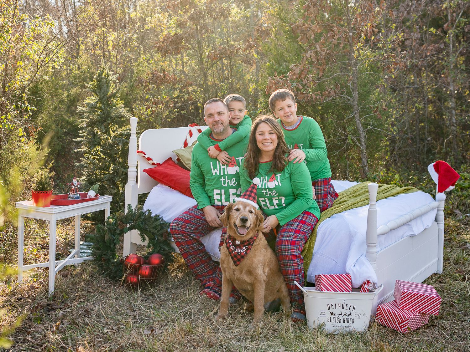 Missouri Pet Photographer - Dog Photographer - St. Louis Photographer