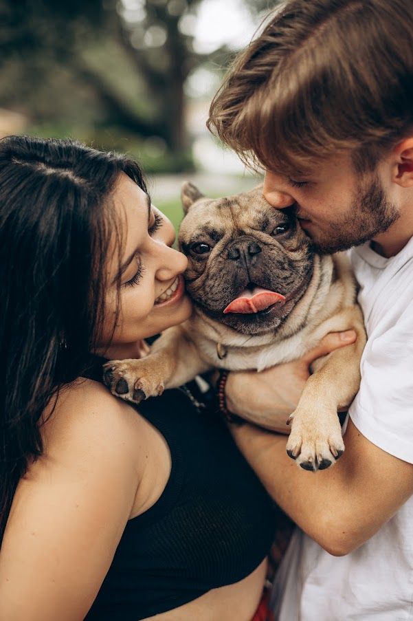 Cute pug dog being embraced and kissed by its owners outdoors.