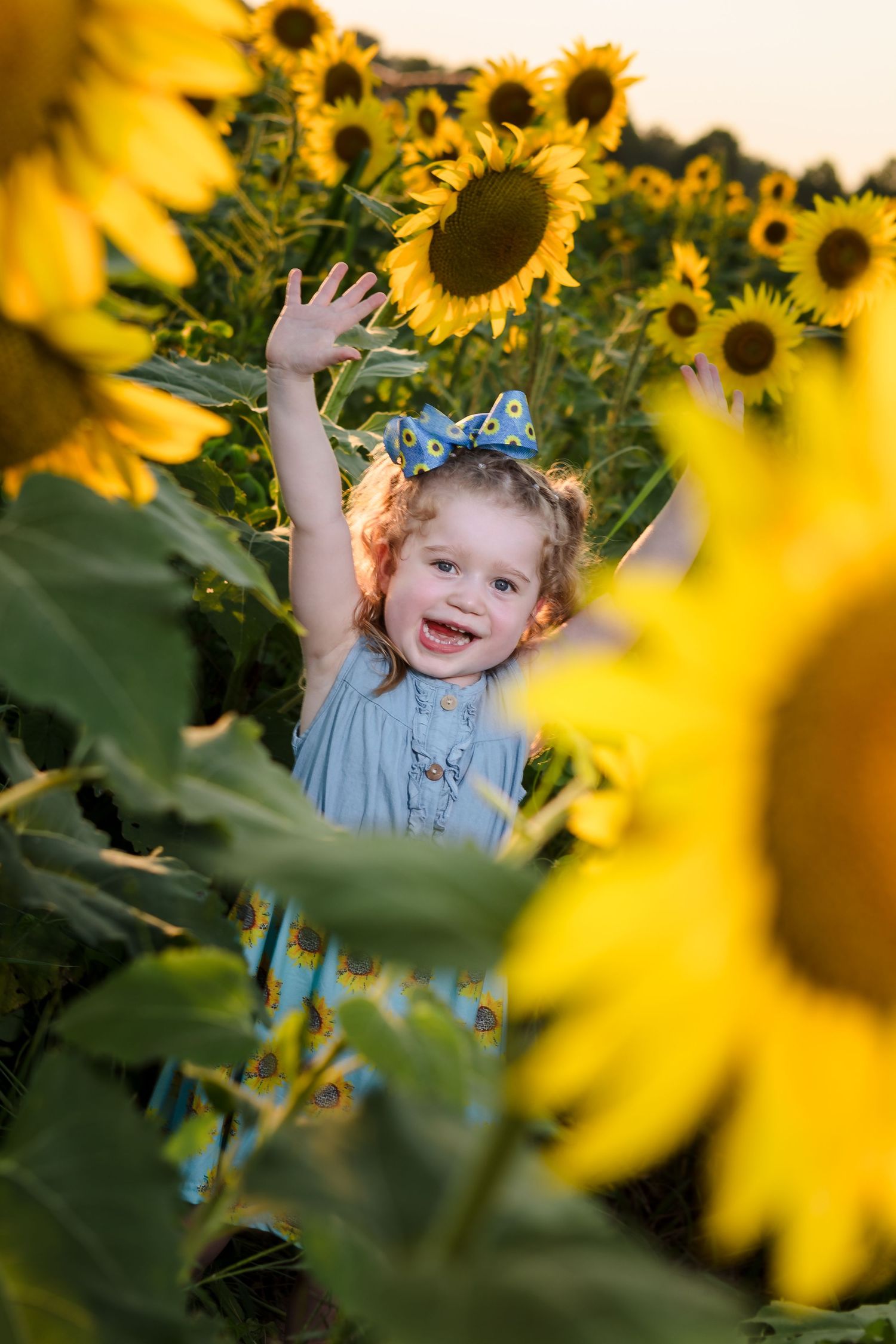 Sunflower Mini Session Shelby Farms, Memphis, TN
