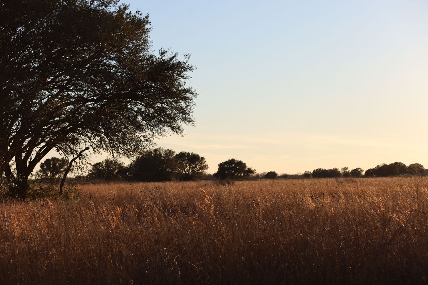 landscape photography