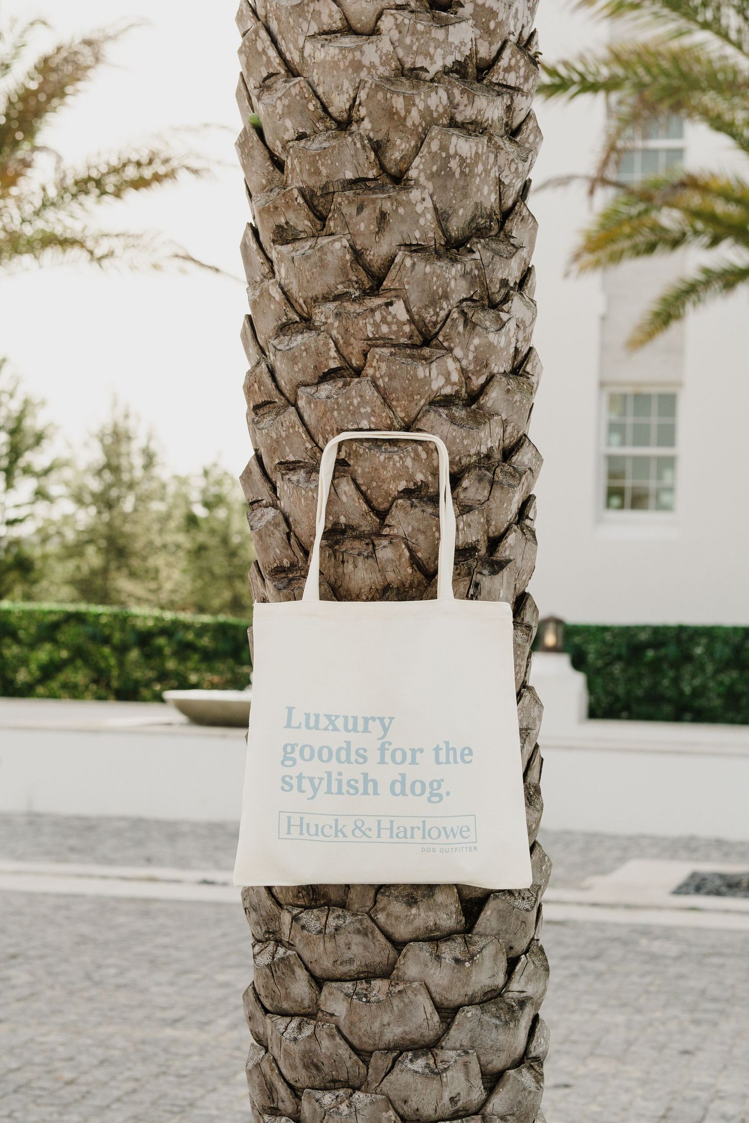 White shopping bags displayed against a palm tree trunk with luxury goods text.