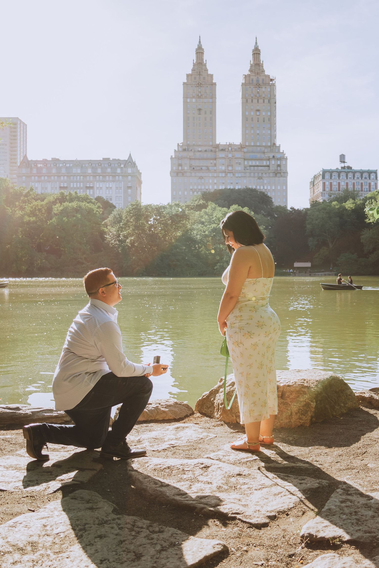 secret proposal central park