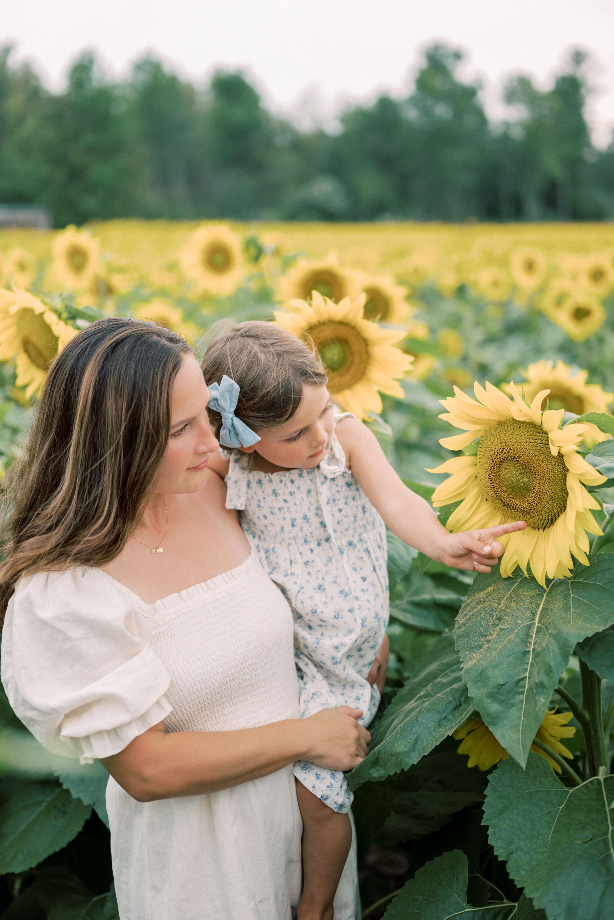 Family and Motherhood
 photography session. A Mother and her daughter looking at a sunflower field in Northern Michigan
