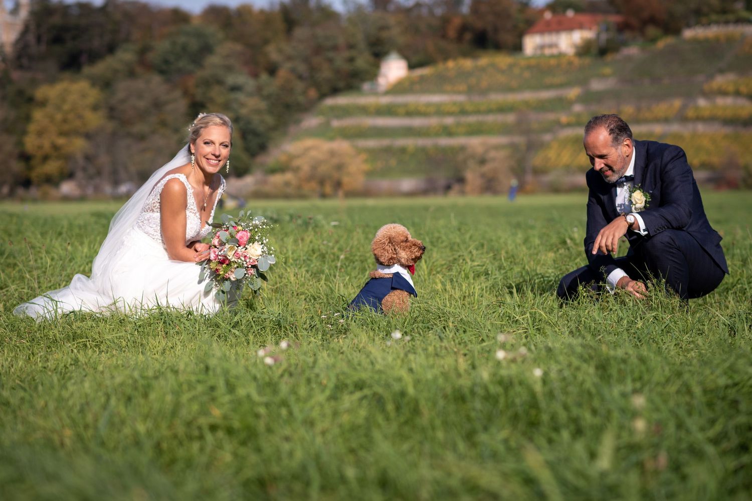 Pudel als Hauptdarsteller beim Brautpaarshooting