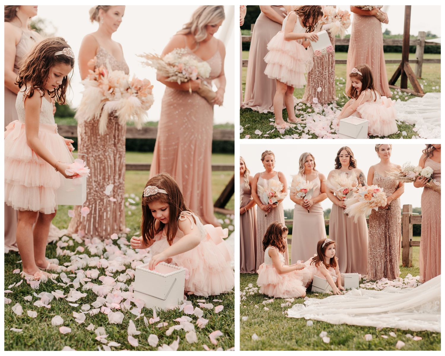 Ohio Photographer, Ohio Wedding, Wedding Photos, Wedding Photographer, Sandusky Photographer, Flower Girl Photos