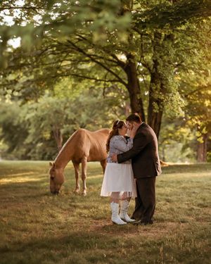Wedding couple embraces in field with grazing horse during sunset in the Hudson Valley,NY.