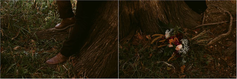 Dark and moody diptych showing forest floor with scattered flowers near tree roots.