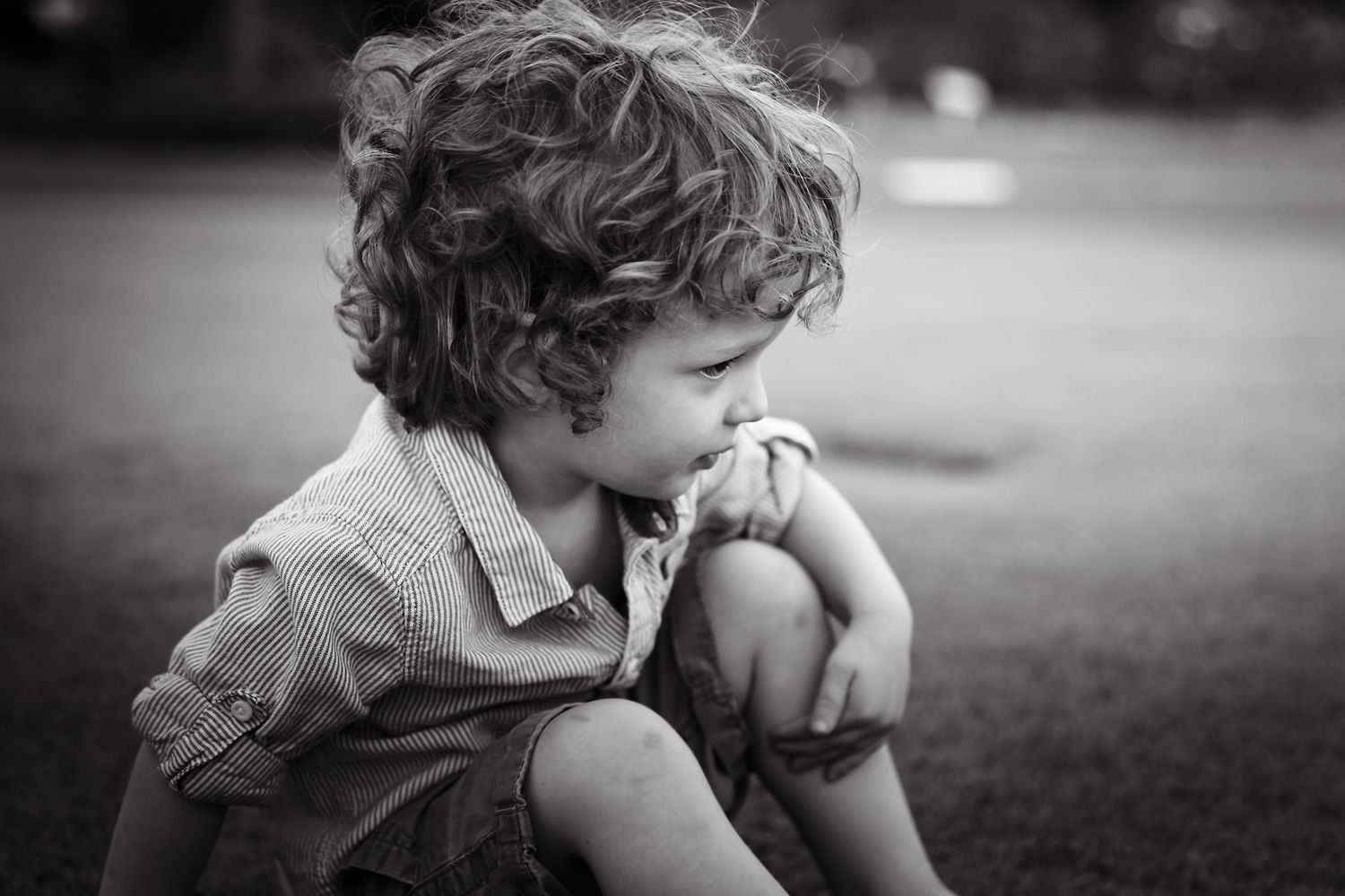 brisbane natural lifestyle family photographer mt coot-tha botanic gardens