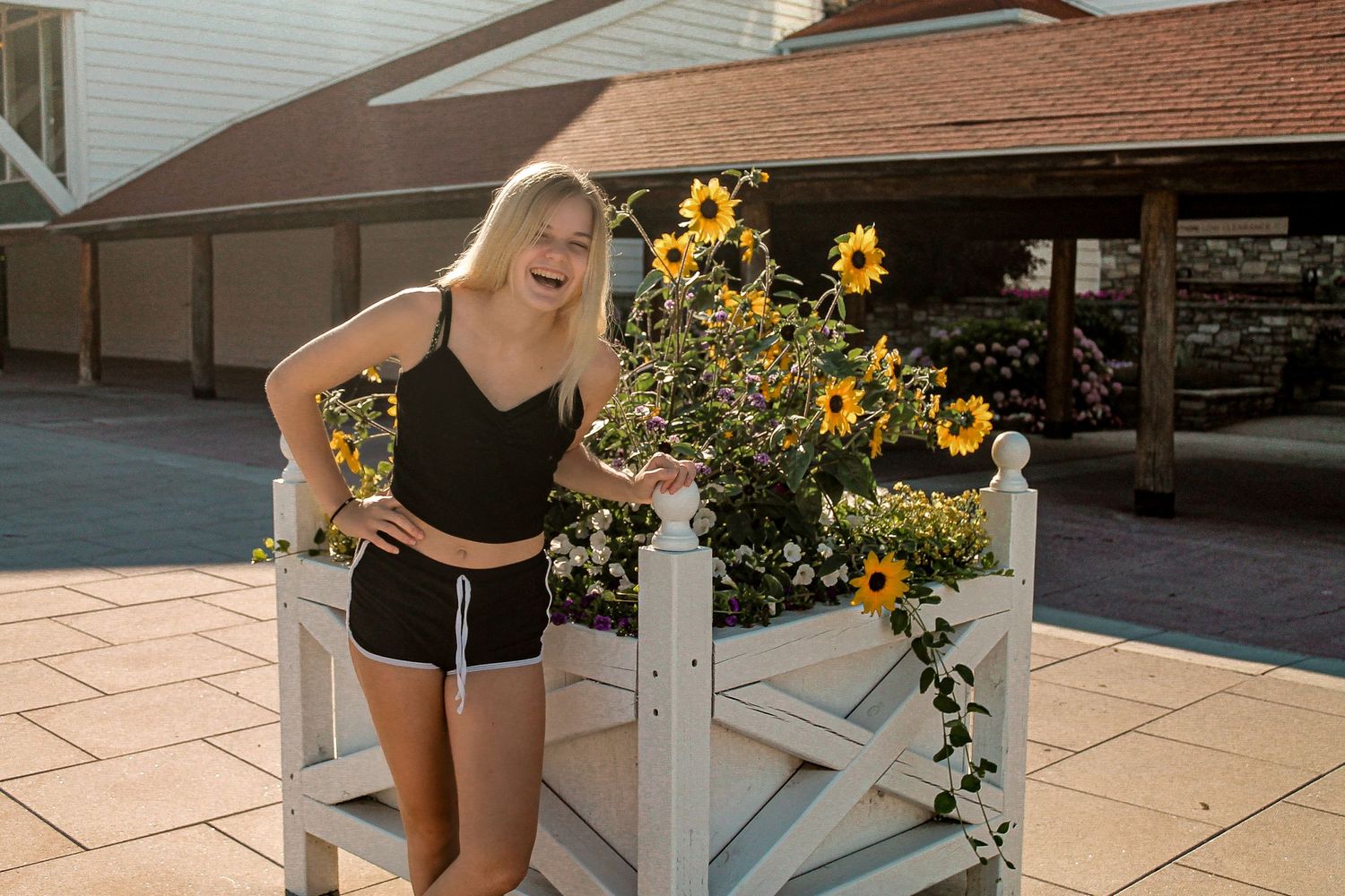Bright yellow sunflowers bloom beside a white railing on a stone patio in warm sunlight.