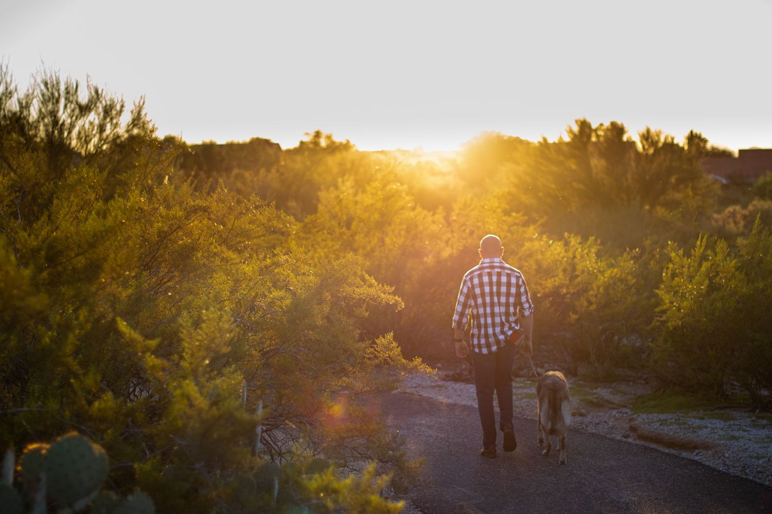 Looking for an easy location for a family photo shoot, but still want desert scenes?  Case Park is perfect!