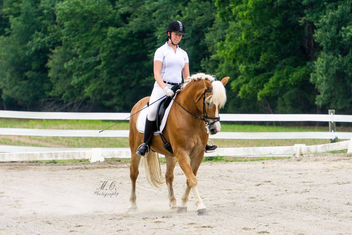 Equine photographer, Lehigh valley, black backgrounds, mo equine photography, horse and rider sessions, pet photography