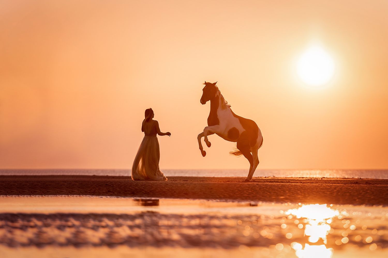 Frau in langem Kleid lässt geschecktes Pferd im Sonnenuntergang am Strand steigen
