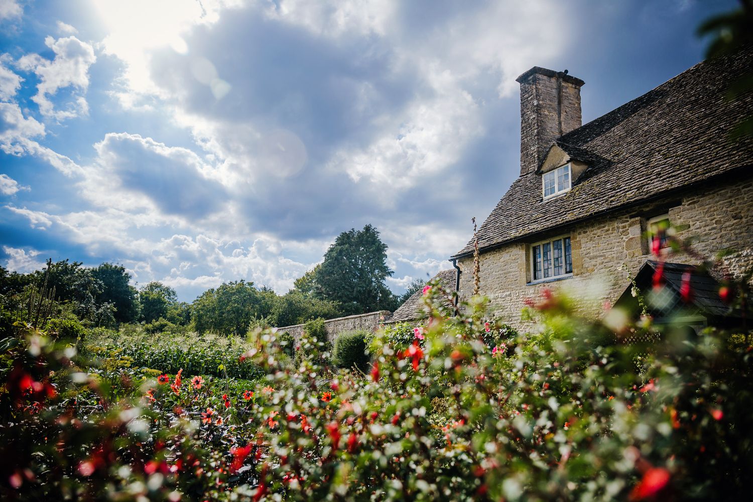 A charming stone cottage with a chimney sits behind a vibrant garden of red flowers under dramatic clouds.