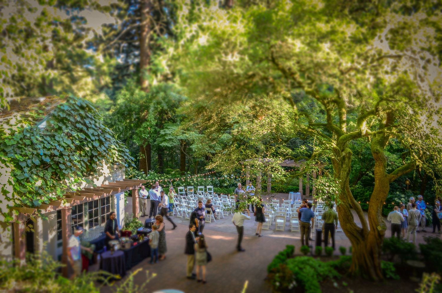 Life Celebrations - Laura Rider Designs