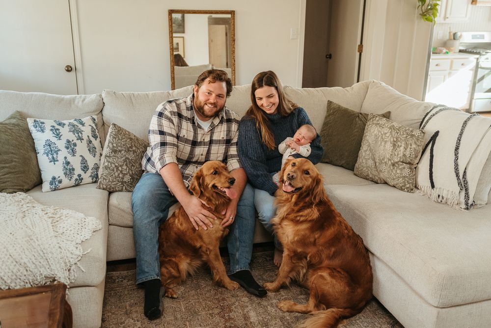 A couple sitting on a sectional sofa with two golden retrievers in a cozy living room.