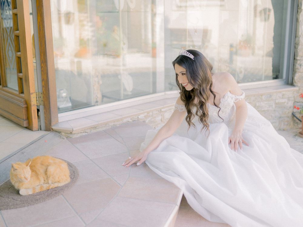 Destination wedding in Cyprus, Lefkara village. Bride plays with a cat sitting on the road