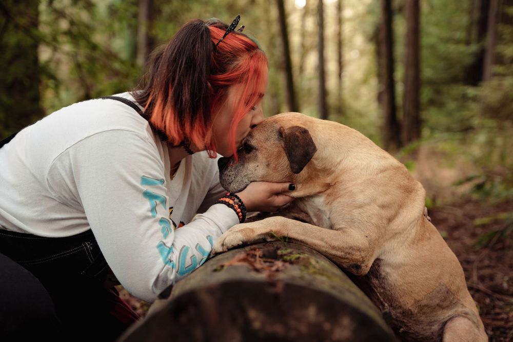 Person with red hair sharing an affectionate moment with their pug dog on a fallen log in the forest.