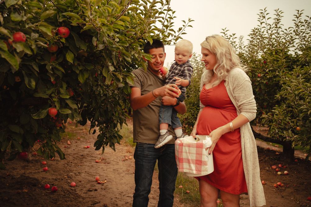 Family spending time together picking apples in an autumn orchard.