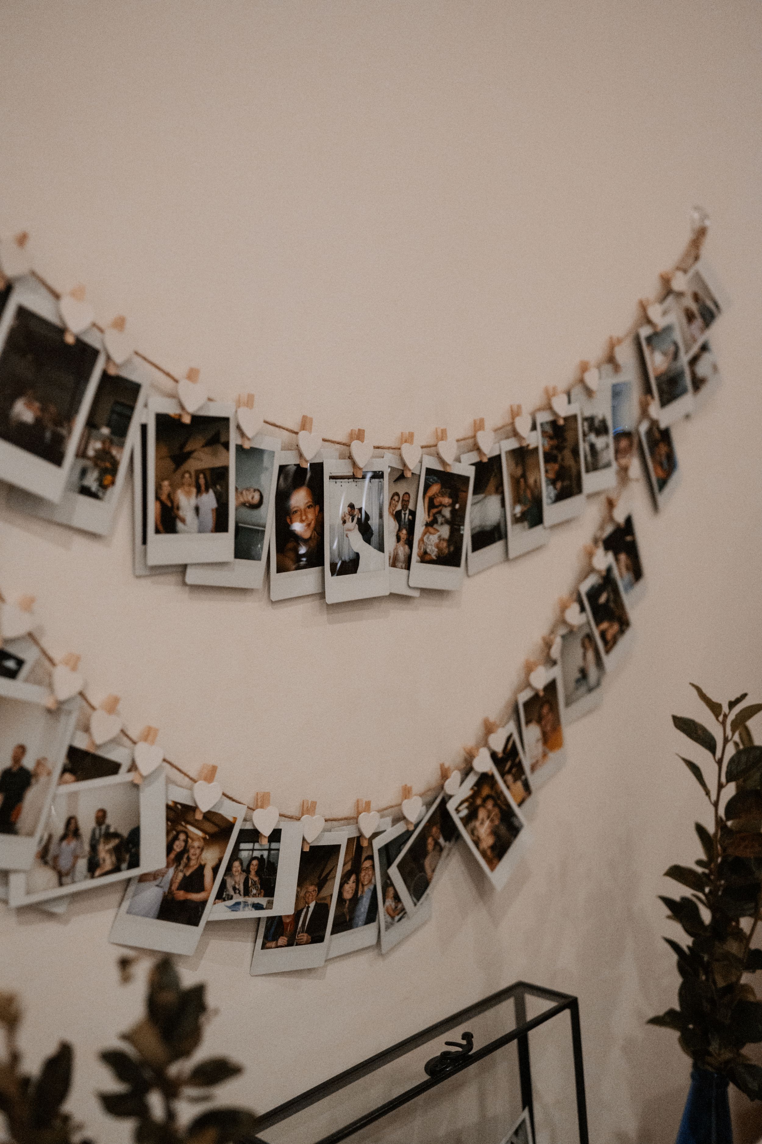 Polaroid photos hanging on string lights against a white wall with decorative plants in the foreground.