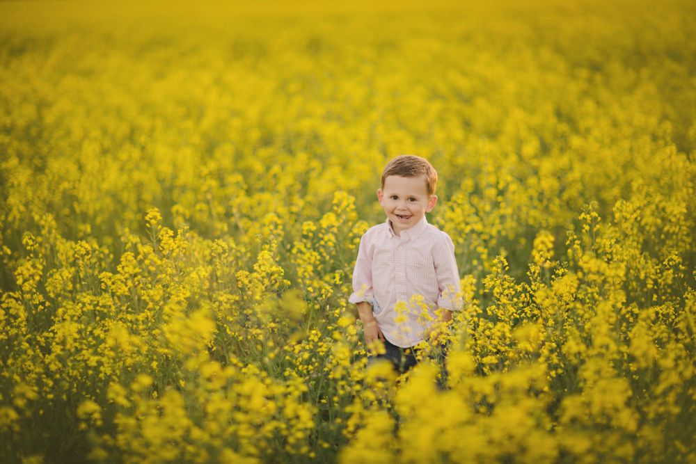 boy child canola field yellow