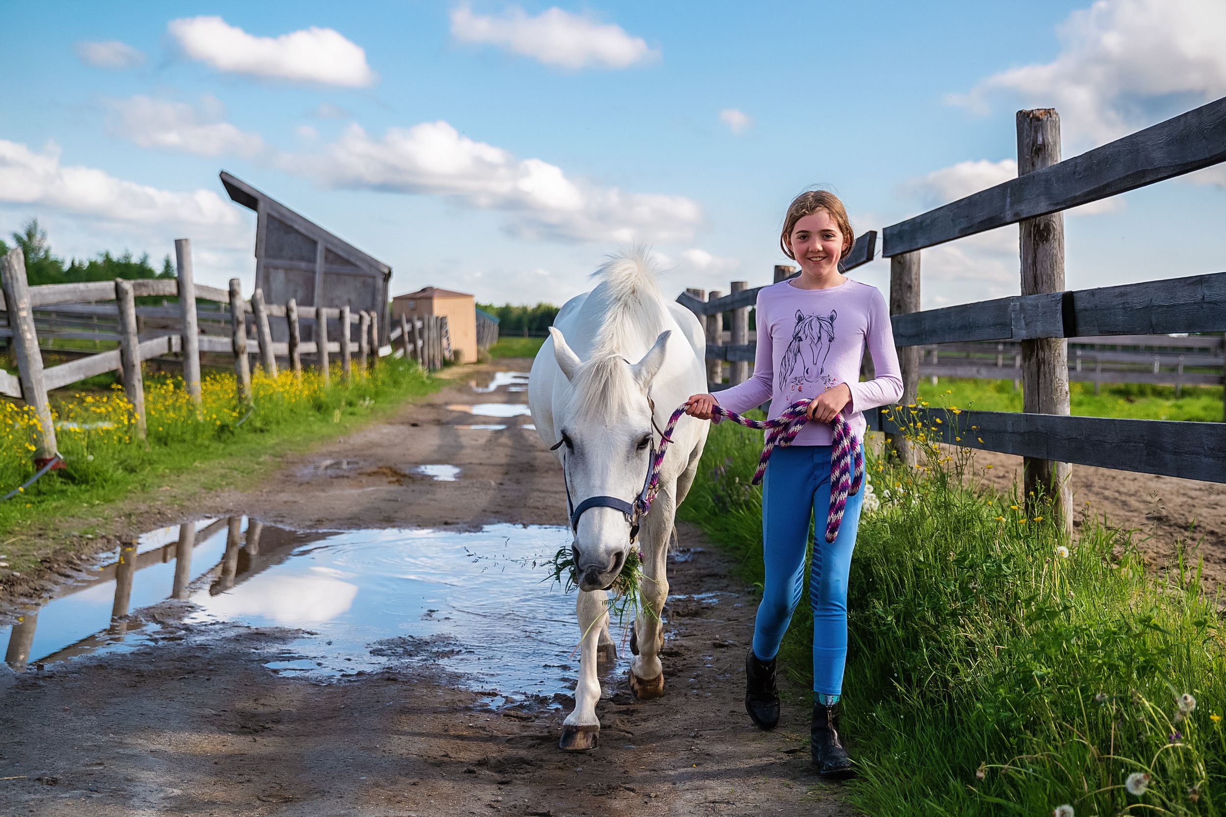 Young person walking with white horse down muddy path between wooden fences.