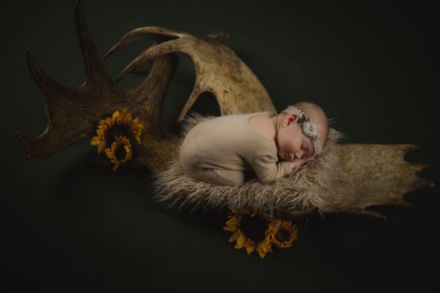 Fairbanks newborn photographer