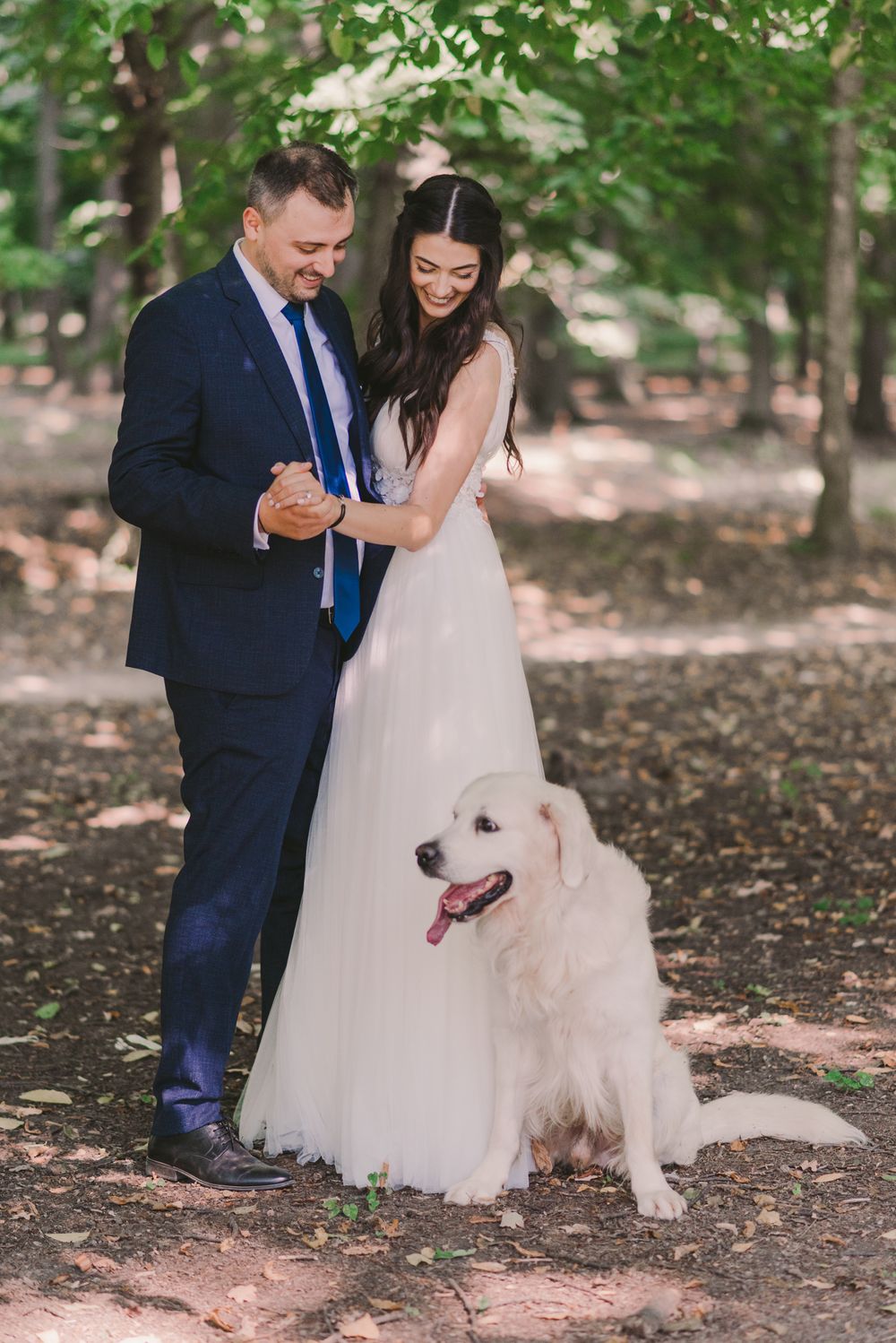 Wedding couple plays with their white dog during outdoor photo session.