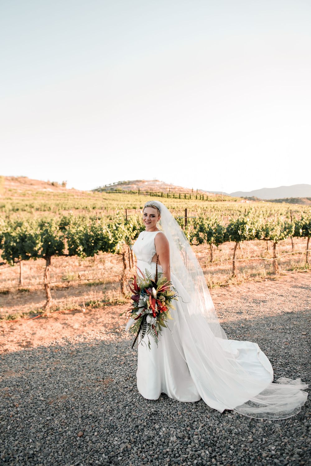 Wedding dress flowing in breeze against vineyard landscape at sunset.