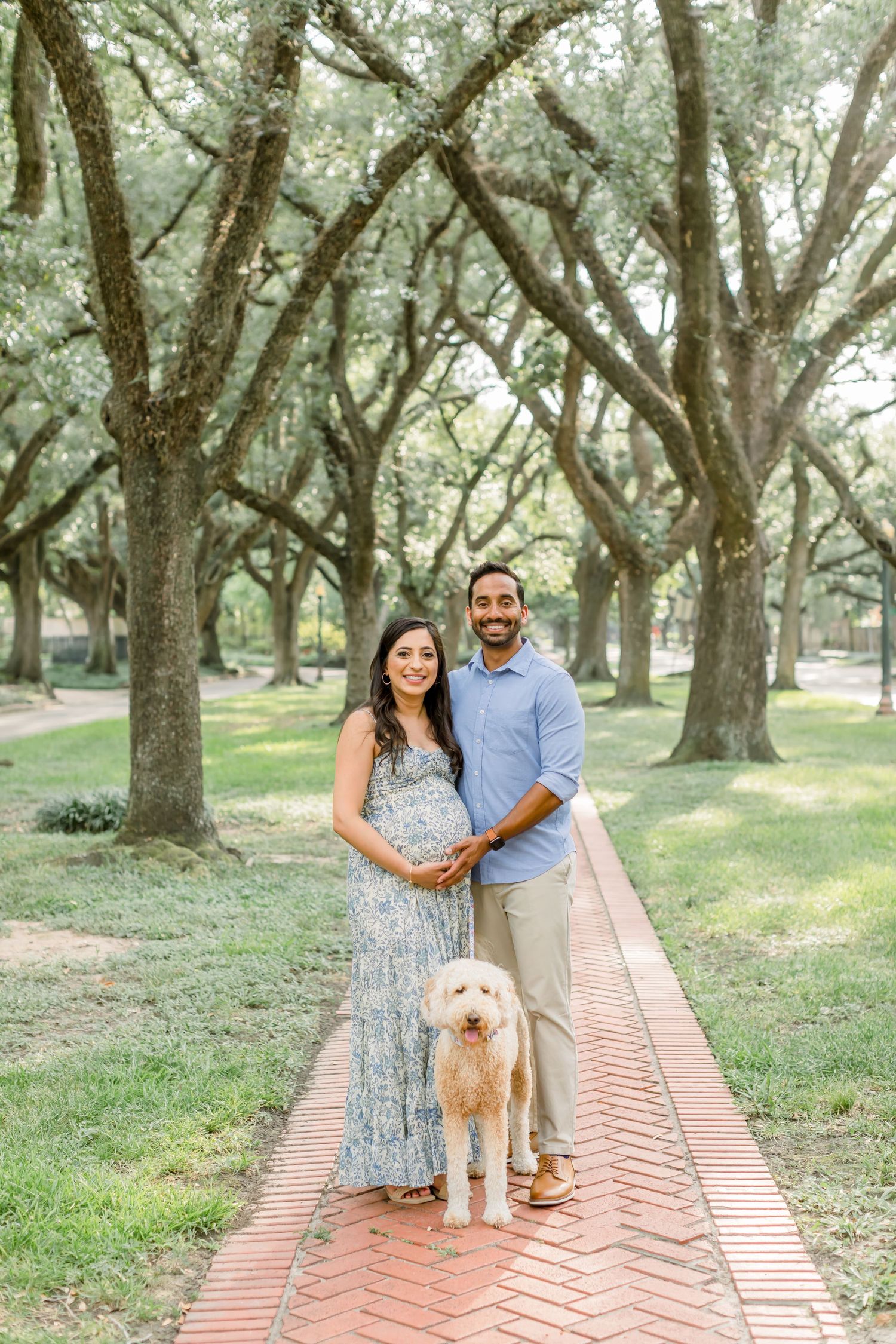 Maternity photo with couple and white dog on brick pathway under oak trees.