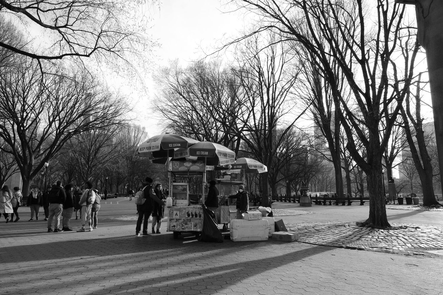 Food cart in Central Park surrounded by bare winter trees and walking paths.