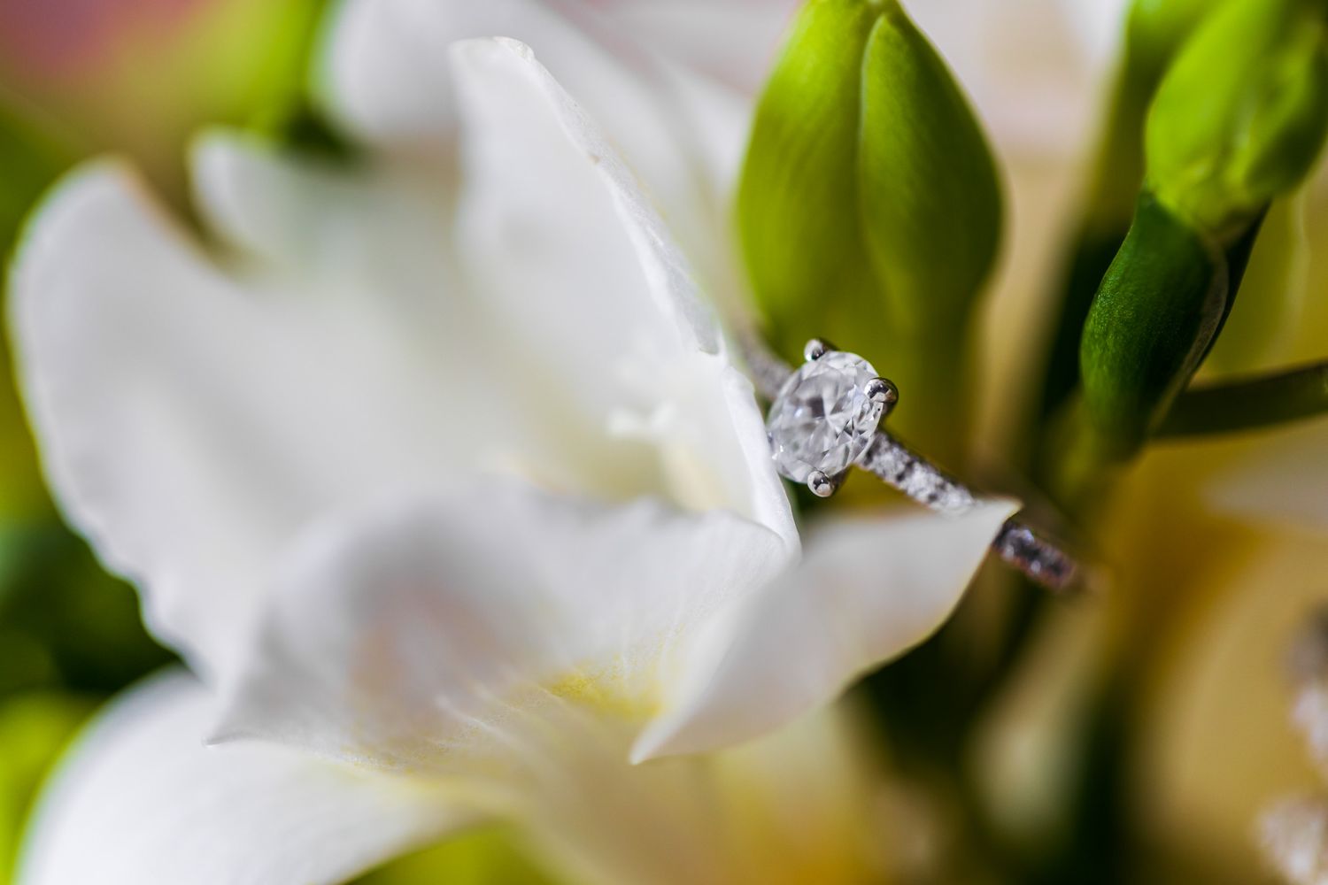 Diamond engagement ring sparkles against white flower petals and green buds.