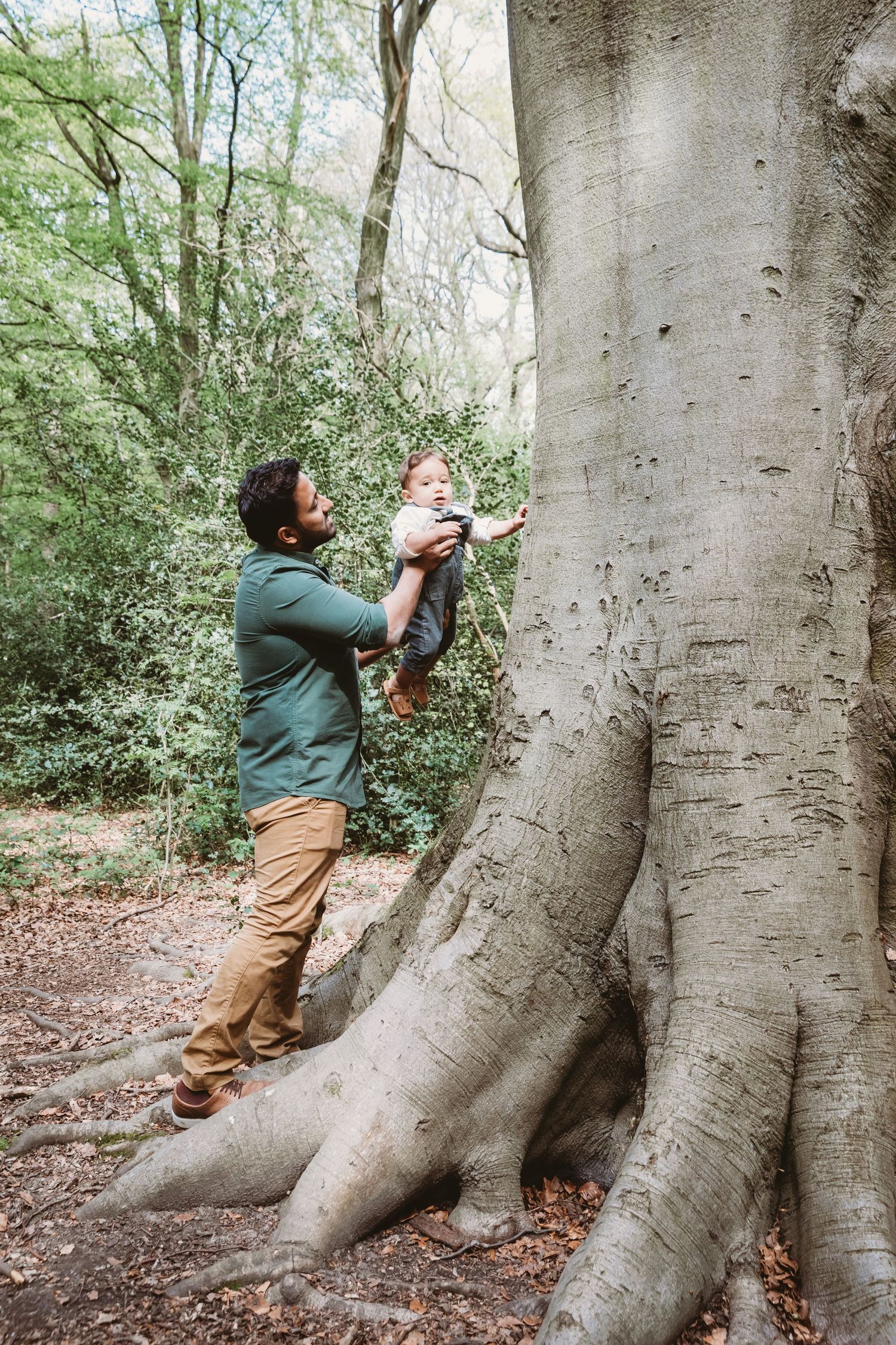 Parent lifts child up to touch large tree trunk in wooded nature setting.