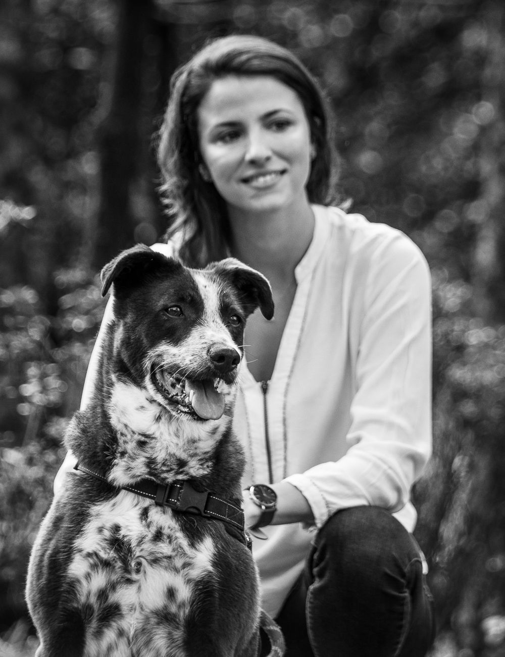 Photo session with dogs. Memories of animal family members.